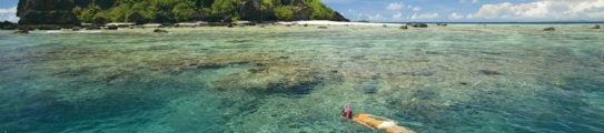 snorkelling fiji