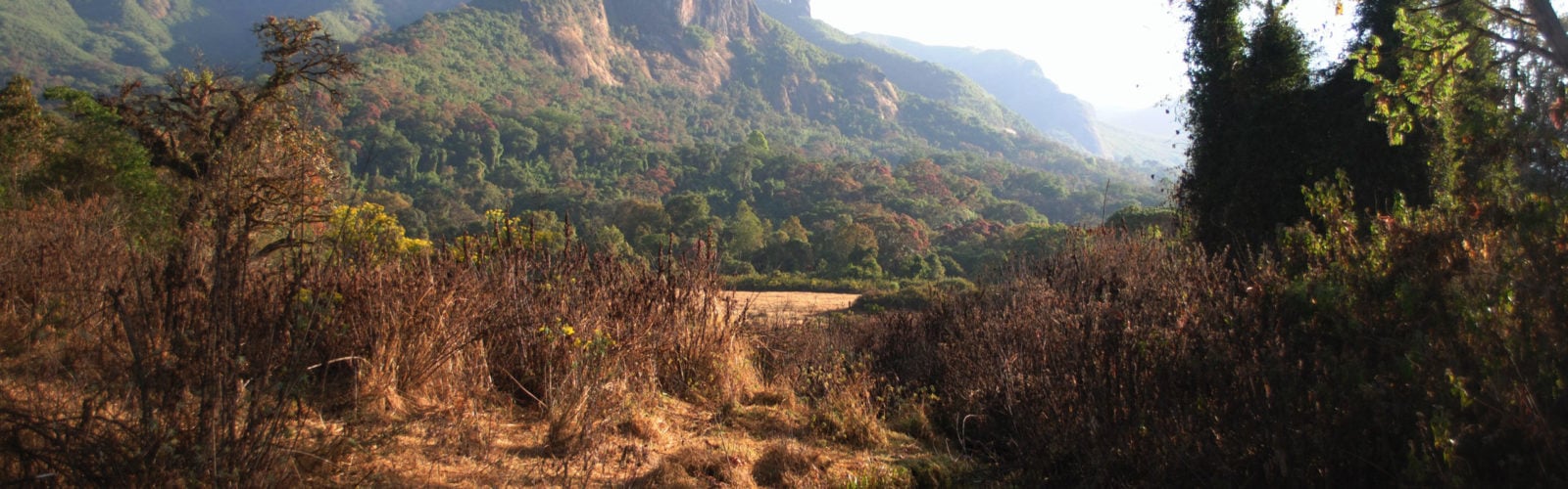 Gujuralle peaks ethiopia