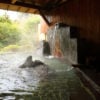 The baths at Yoshimatsu Ryokan, Hakone, Japan