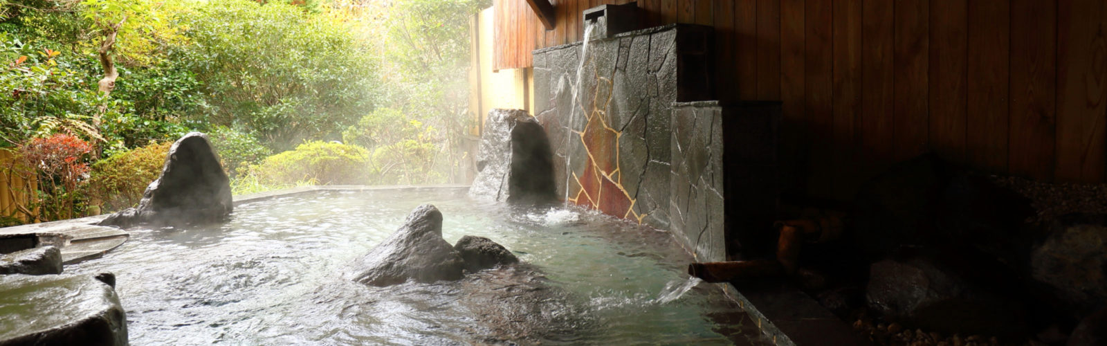 The baths at Yoshimatsu Ryokan, Hakone, Japan