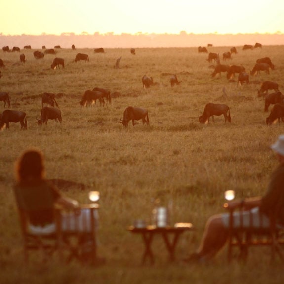 sundowners-africa-elephants