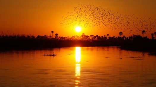 sunset-okavango-delta