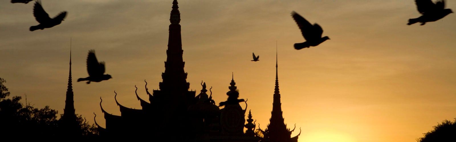 pigeons-phnom-penh-sunset