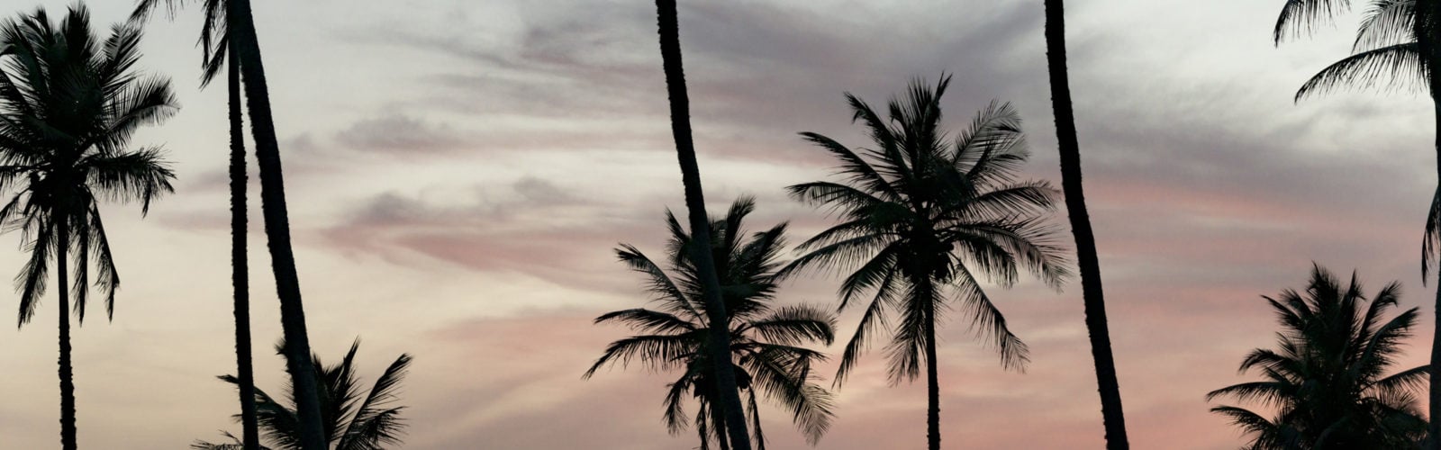 amanwella-palm-trees-and-sunset