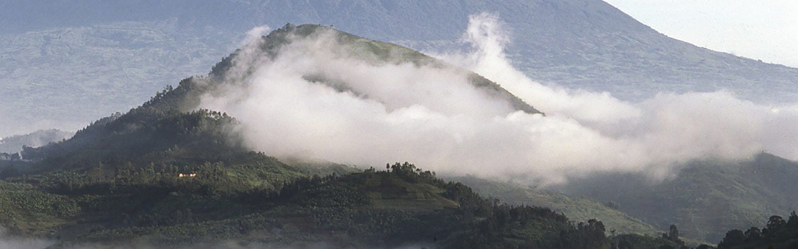 volcanoes-national-park-rwanda