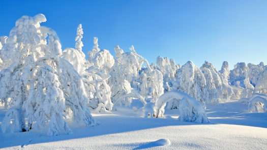 Swedish-Lapland-snow