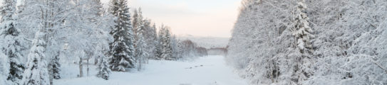 loggers-lodge-winter-swedish-lapland