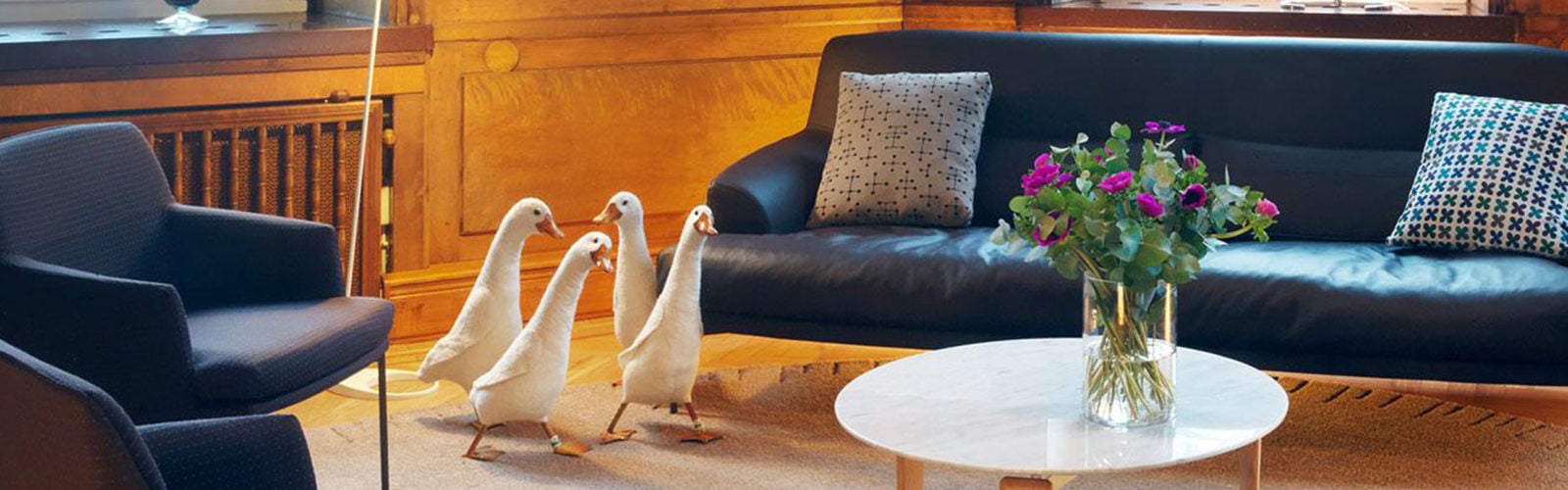 nobis-stockholm-lounge-ducks