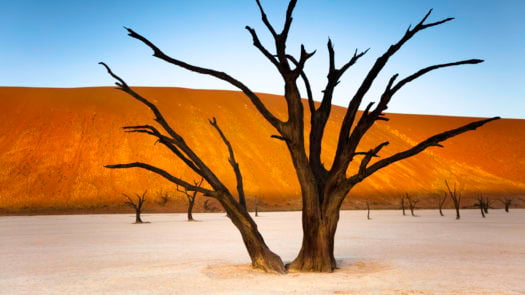 Namibia: Sunset at Dead Vlei
