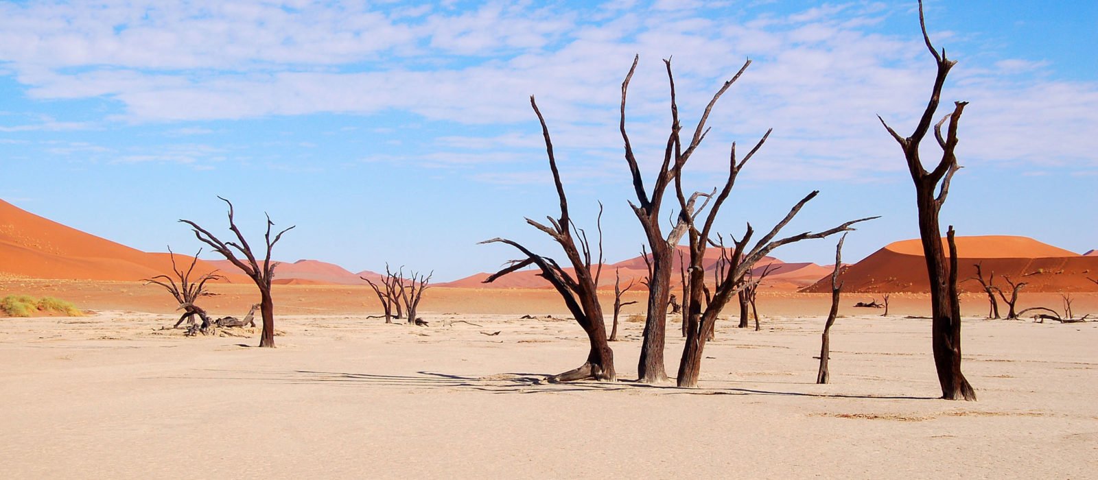 Dryness in Namibia - Sossusvlei