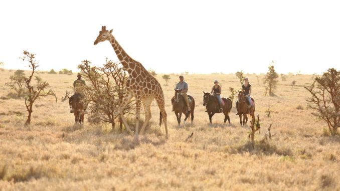 Horse riding, Lewa Safari Camp, Kenya