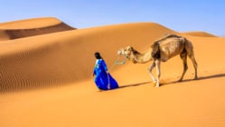 tuareg-camels-morocco