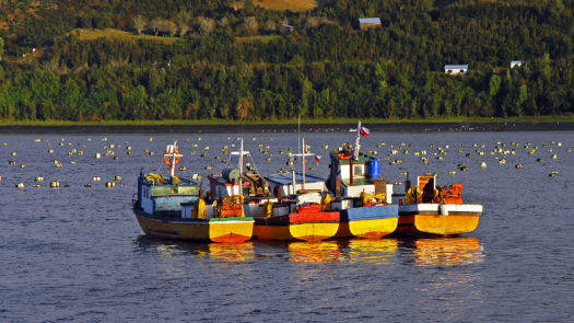 Anchored fishing boats