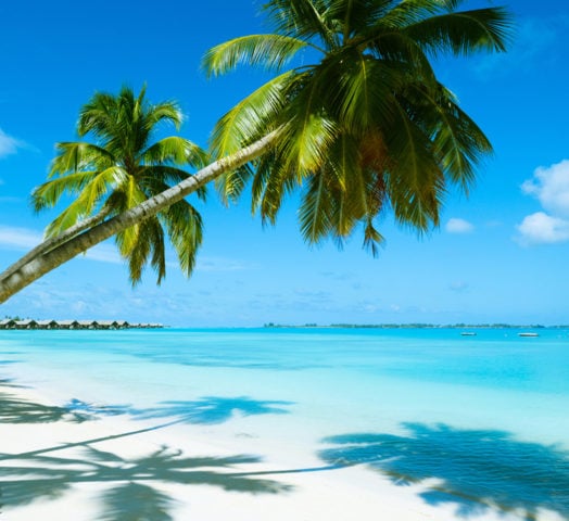 beach-resort-mauritius