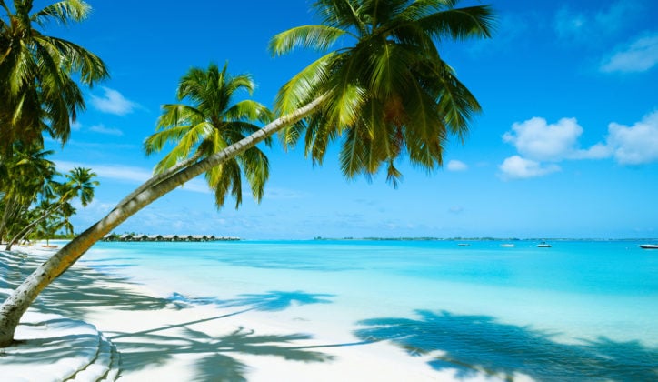 beach-resort-mauritius