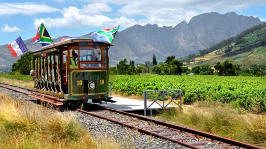 Explore the Cape Winelands on the Wine Tram