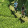 four-seasons-ubud-cycling