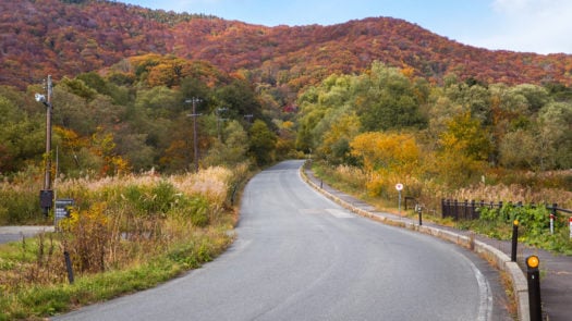 road-nikko-japan-autumn