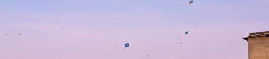 kite-flying-jaipur-india