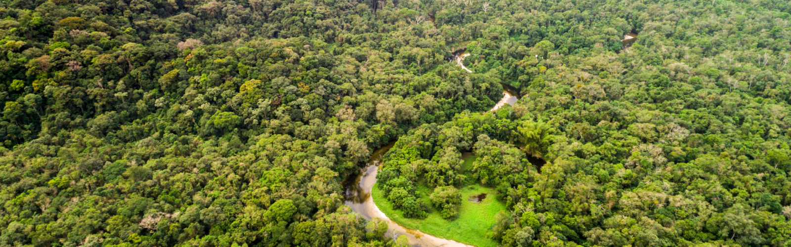colombia-amazon-aerial