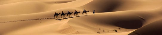 camel-trekking-morocco