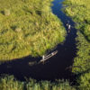 the waterways of the Okavango delta