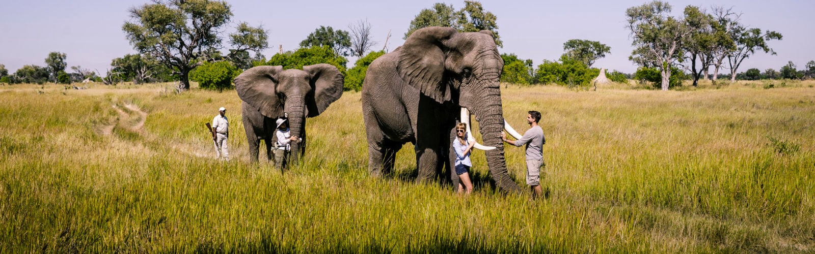 botswana-stanleys-camp-elephant-walking-safari