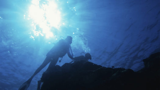 Backlit diver from below, Mauritius, Africa