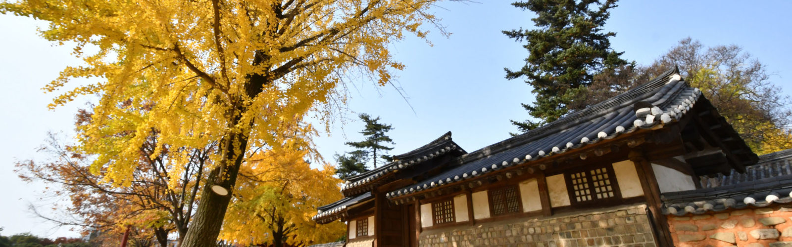 jeonju-hall-autumn-south-korea