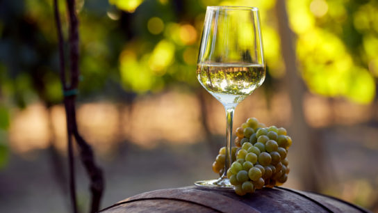 white-wine-barrel-grapes
