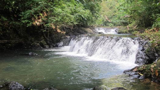san-pedrillo-waterfall-corcovado-costa-rica