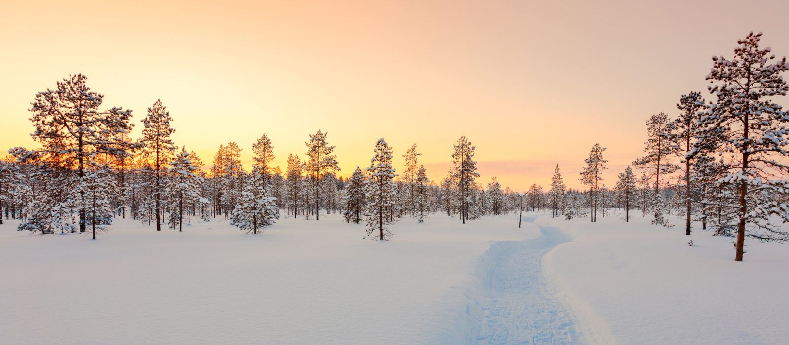 finnish-lapland-winter