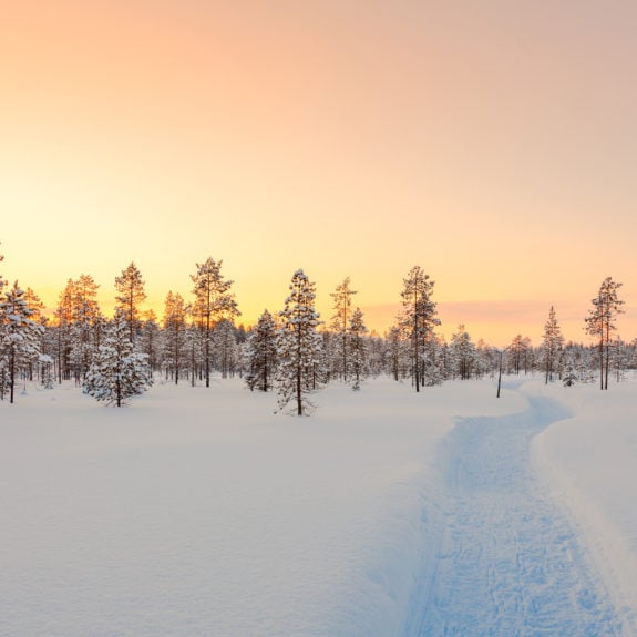 finnish-lapland-winter