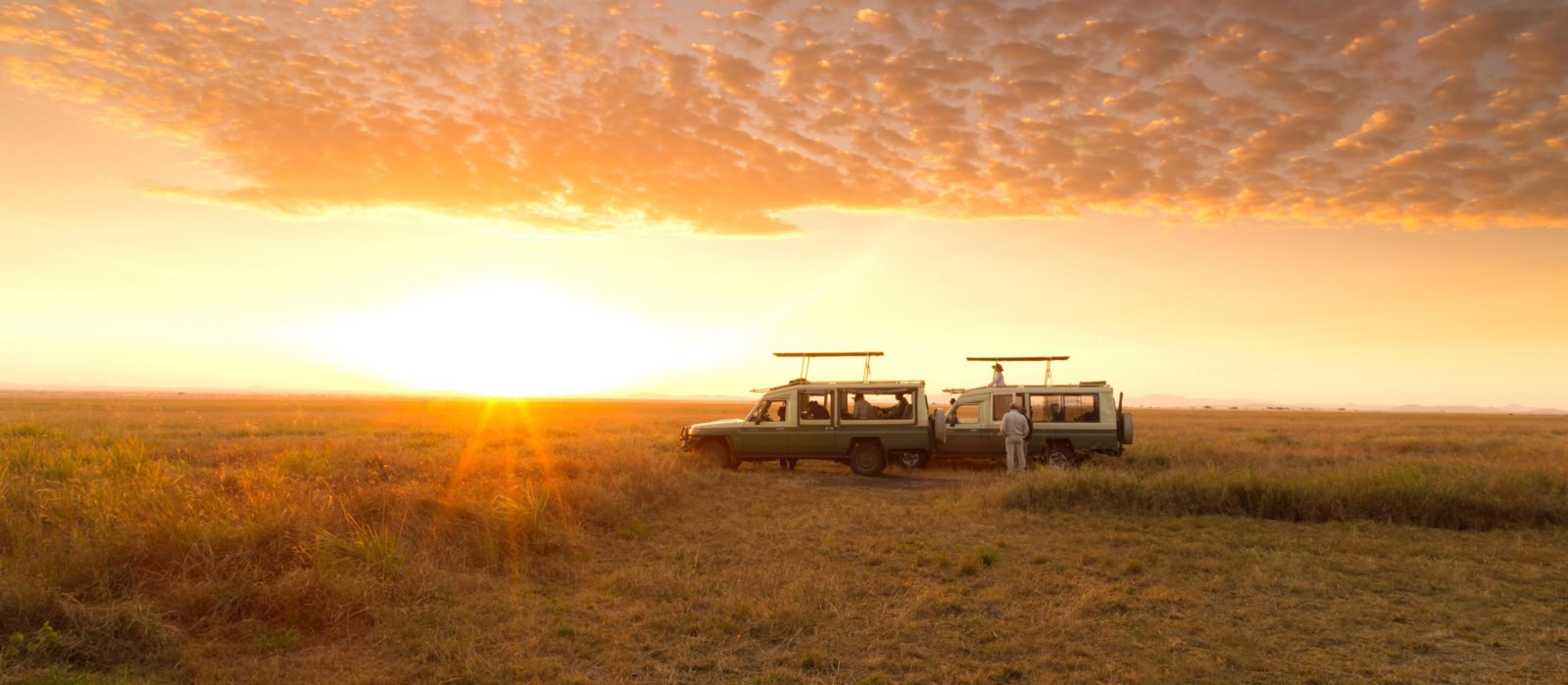 serengeti-safari-camp-game-drive