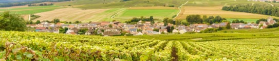 champagne-scenic-landscape-vineyards-reims