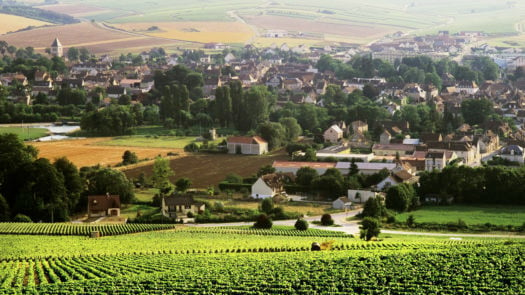 chablis-vineyard-burgundy-france