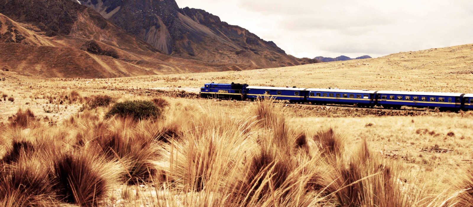 Andean Explorer train passing through the golden landscapes of Peru