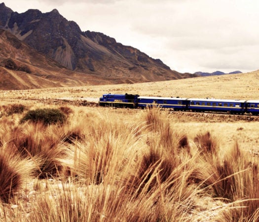 Andean Explorer train passing through the golden landscapes of Peru
