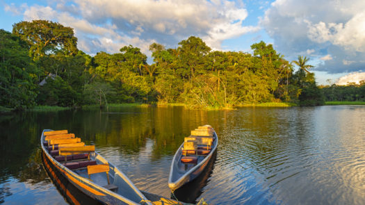 Two traditional wooden canoes at sunset in the Amazon River Basin with the tropical rainforest in the background inside the Yasuni National Park, Ecuador, South America.