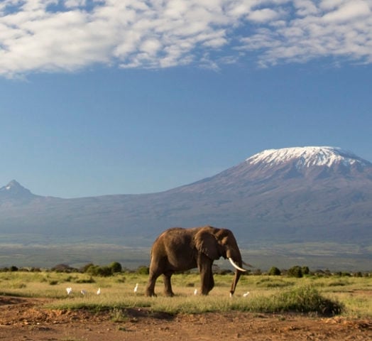 Kilimanjaro Tanzania
