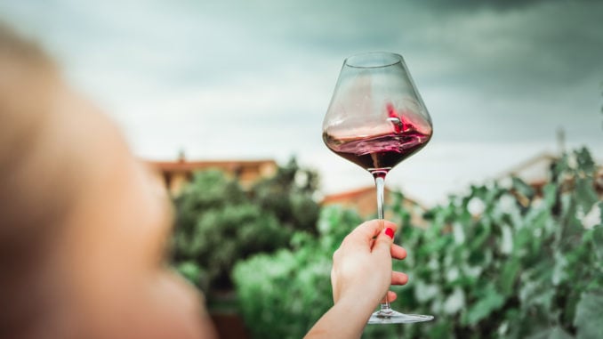 Slovenia vineyard winetasting