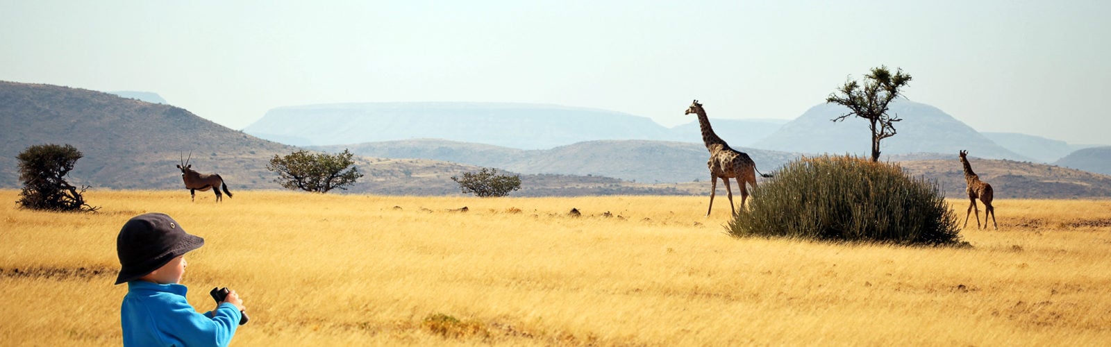 Giraffe spotting safari