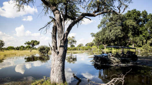 Okavango Delta when flooded, Botswana - Vumbura, Wilderness Safari Camp, Okavango Delta, Botswana