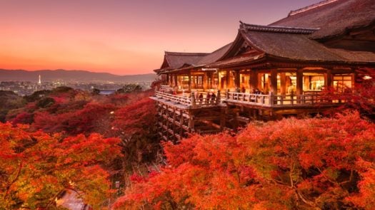 Japan in autumn is a riot of rich reds and oranges as the leaves change colour.