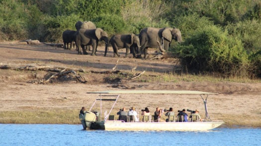 Safari explorers on a boat observing elephants in Hwange National Park, Zimbabwe