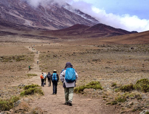 Group of hikers trekking Kilimanjaro Mountain in the Kilimanjaro National Park, Tanzania