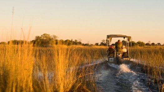 Boat ride in Okavango Delta