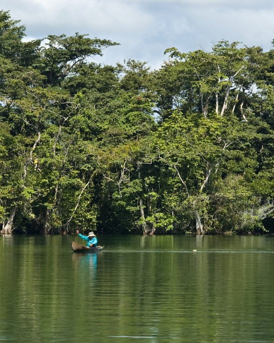 Lone person in a canoe on the tree-lined river in Rio Dulce, Livingston, Guatemala