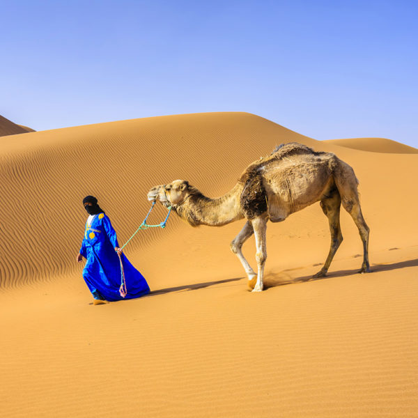 Young Tuareg dressed in blue with a camel on the dunes of Western Sahara Desert in Africa