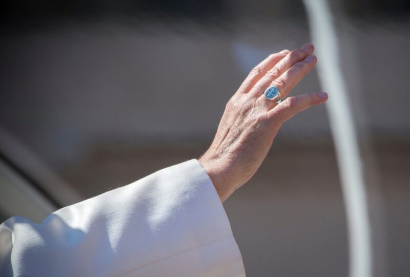 The Pope waves at the Papal Audience in Rome